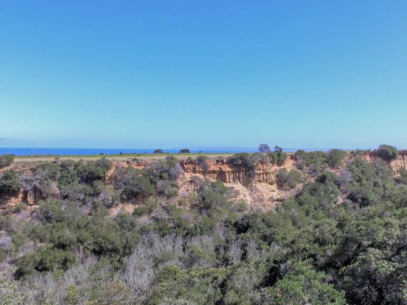 0 Bedroom Property for Sale in Outeniqua Strand Western Cape